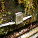 Image for article titled Get Lost In Europe's Largest Car Cemetery Hidden In The Swedish Woods